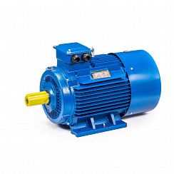 Электродвигатель 5АИ 200 L2 45/3000 IM1001