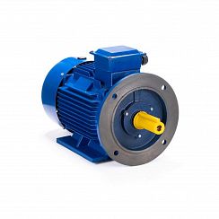 Электродвигатель ESQ 132 S4-SDN- 5,5/1500 IMB35