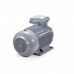 Электродвигатель ESQ PR 100 LA2-SDN-Б1-S12-IE2 3/3000 IMB3