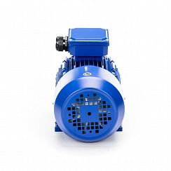 Электродвигатель 5АИ 56 А2 0,18/3000 IM1081