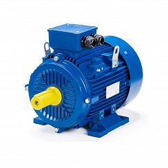 Эл.двигатель ESQ 100 L2-GST-HT-H 5.5/3000  IM 1081