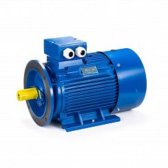 Электродвигатель ESQ 180 L4-SDN- 22/1500 IMB35