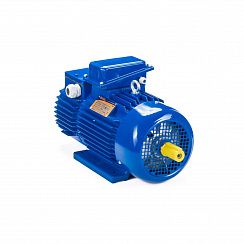 Электродвигатель 5MTH 400 М10 132/600 IM1004