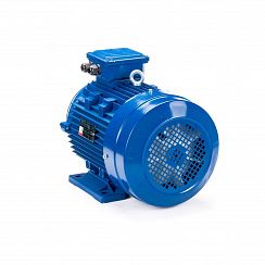 Электродвигатель ESQ 112 MB6-SDN- 3/1000 IMB34