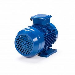 Электродвигатель ESQ 90 S4-SDN- 1,1/1500 IMB34