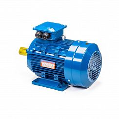 Электродвигатель 5АИ 100 S2 4/3000 IM1081