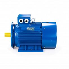 Электродвигатель ESQ 180 L4-SDN- 22/1500 IMB35