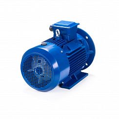 Электродвигатель ESQ 160 L4-SDN- 15/1500 IMB35