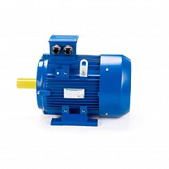 Электродвигатель ESQ 250 M4-SDN- 55/1500 IMB3