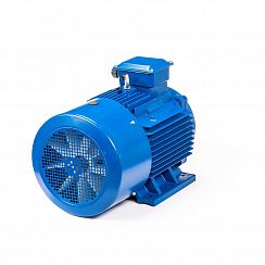 Электродвигатель 5АИ 200 L2 45/3000 IM1001