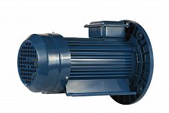 Электродвигатель 5АИ 71 В4 ED 0,75/1500 IM2081
