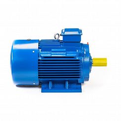 Электродвигатель 5АИ 200 L2 45/3000 IM1001