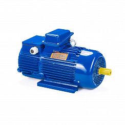 Электродвигатель 5MTH 400 S10 110/600 IM1003
