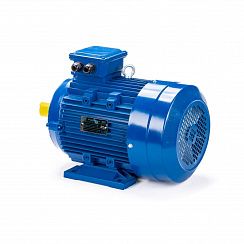 Электродвигатель ESQ 100 LA8-SDN- 0,75/750 IMB34