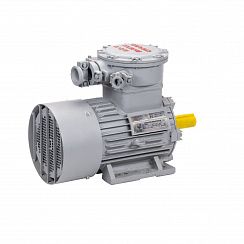 Электродвигатель АИМУР 200 L8 660/1140V, PBExdI Mb, класс изоляции Н, РТС (статор), подшип, SKF, 22/750 IM1001