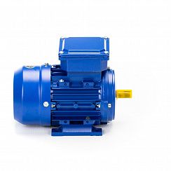 Электродвигатель 5АИ 56 А4 0,12/1500 IM1081