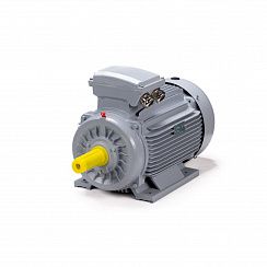 Электродвигатель ESQ PR 100 LA2-SDN-Б1-S12-IE2 3/3000 IMB3