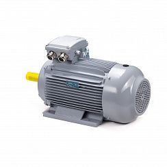 Электродвигатель ESQ PR 100 LA2-SDN-Б1-S12-IE2 3/3000 IMB3