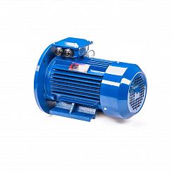 Электродвигатель 5АИ 112 МА6 3/1000 IM2081