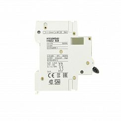 Автоматический выключатель HGD63N 2PMCS0000C C 2P 2А 6kA (DELUXE)