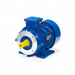 Электродвигатель ESQ 112 MB6-SDN- 3/1000 IMB34