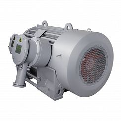Электродвигатель ВАО7М 450 LB4 УХЛ1 1ExdIIBT4 Gb 6000В IP54 400/1500 IM1001