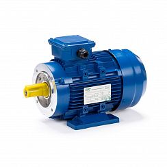 Электродвигатель ESQ 90 S4-SDN- 1,1/1500 IMB34