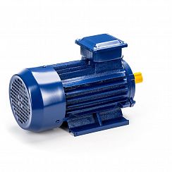 Электродвигатель 5АИ 63 В2 0,55/3000 IM1081