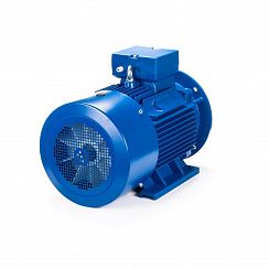 Электродвигатель ESQ 180 L4-SDN- 22/1500 IMB35