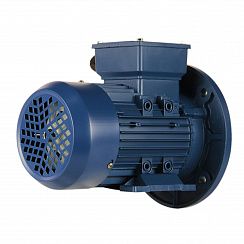 Электродвигатель 5АИ 63 В6 0,25/1000 IM2081