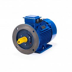 Электродвигатель ESQ 100 LB2-SDN- 4/3000 IMB35