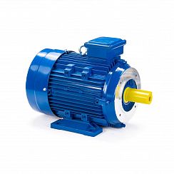 Электродвигатель ESQ 112 MB6-SDN- 3/1000 IMB34