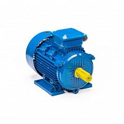 Электродвигатель 5АИ 100 S2 4/3000 IM1081