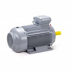 Электродвигатель ESQ PR 100 LA2-SDN-Б1-S12-IE2 3/3000 IMB3