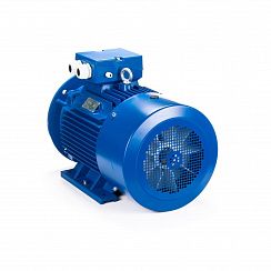 Электродвигатель ESQ 180 L4-SDN- 22/1500 IMB35