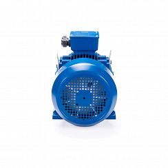 Электродвигатель ESQ 250 M4-SDN- 55/1500 IMB3