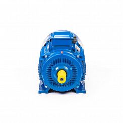 Электродвигатель 5АИ 200 L2 45/3000 IM1001