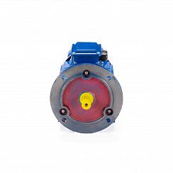 Электродвигатель 5АИ 100 L4 ED 4/1500 IM2081