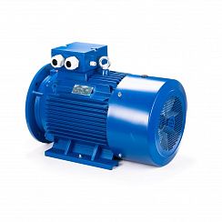 Электродвигатель ESQ 180 L4-SDN- 22/1500 IMB35