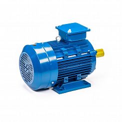 Электродвигатель 5АИ 100 S2 4/3000 IM1081