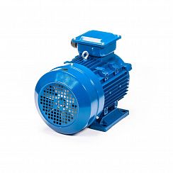 Электродвигатель 5АИ 100 S2 4/3000 IM1081